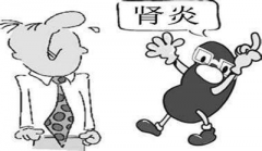 慢性,肾炎,如何,保护,肾功能,对于,慢性,